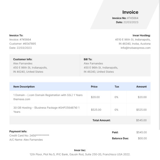 Domain and Hosting Invoice